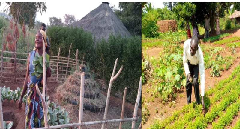 AFCE Annual Report 2024